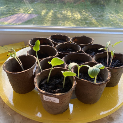 UPS, da tut sich schon etwas